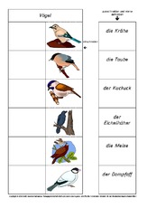 Flip-Flap-Zuordnung-Vögel-1-8.pdf